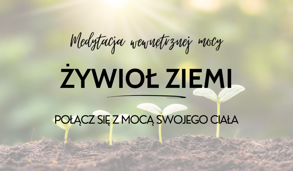 Indywidualny program (47)