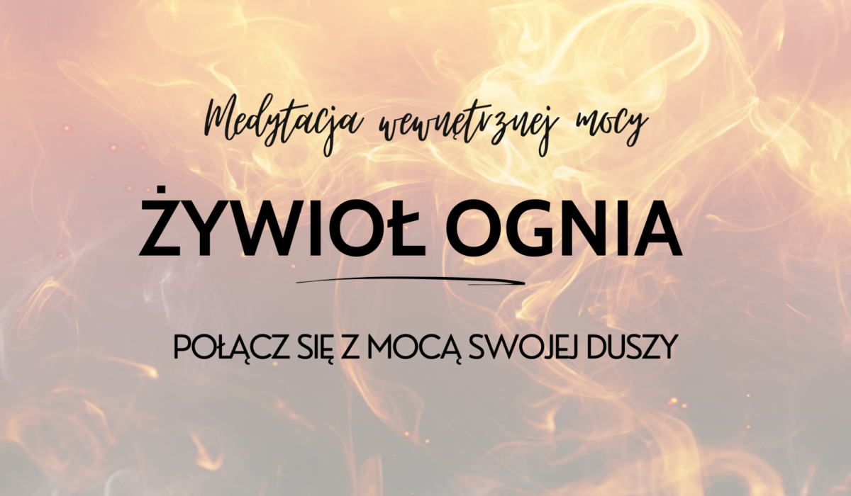 Indywidualny program (48)