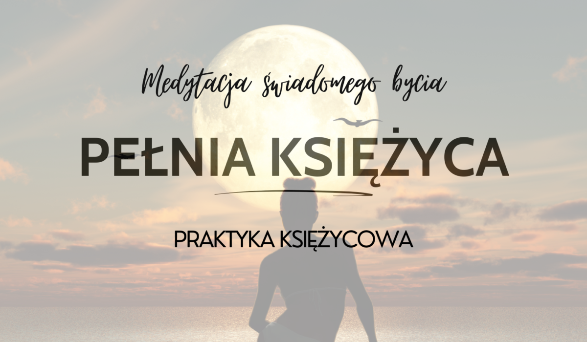 Indywidualny program (61)