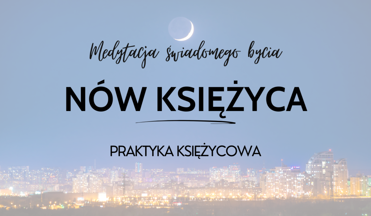 Indywidualny program (62)