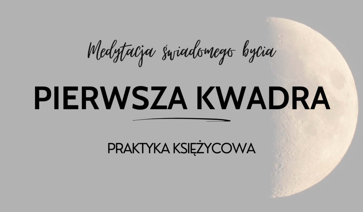 Indywidualny program (66)