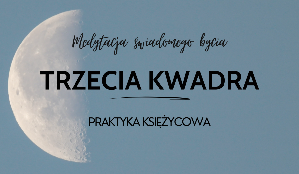 Indywidualny program (67)